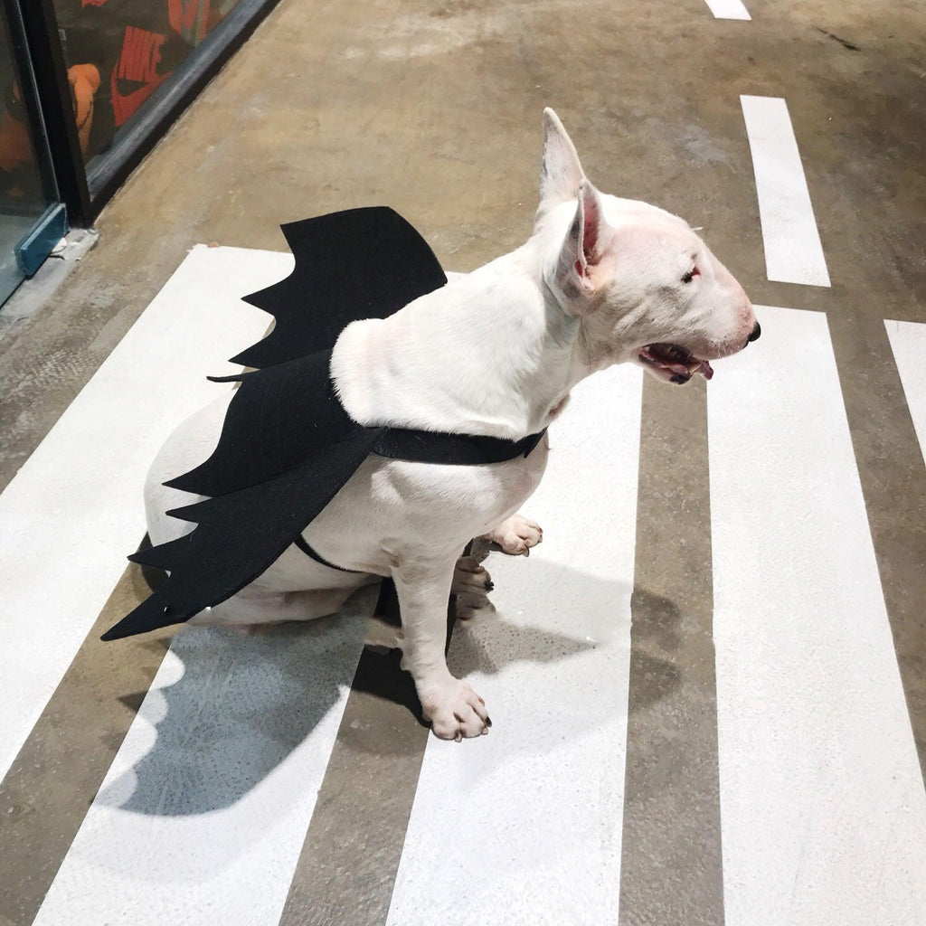 Pet Winged Canine Couture