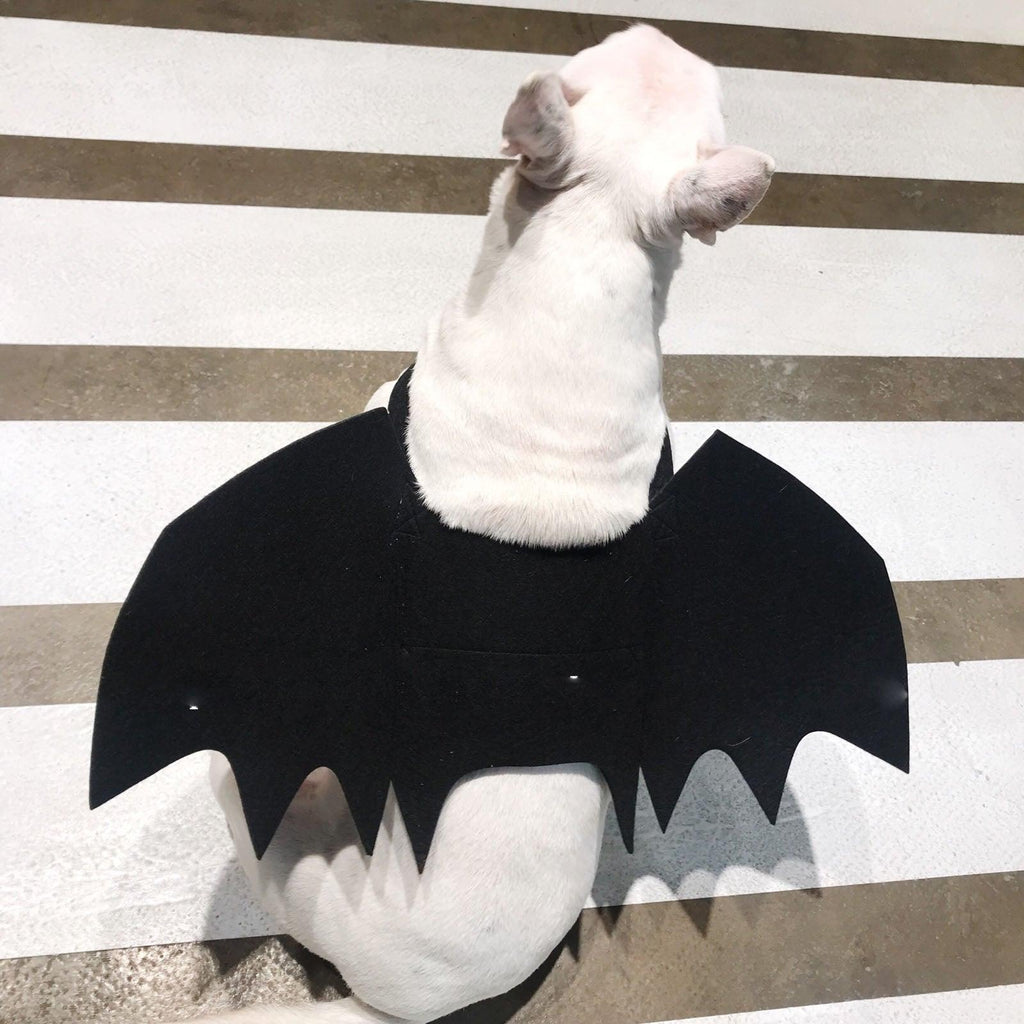 Pet Winged Canine Couture